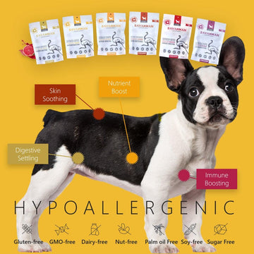 Why Natural Functional Dog Treats are Essential for Your Furry Friend
