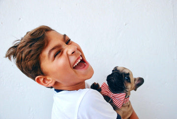 How to Choose the Right Hypoallergenic Dog Breed for You