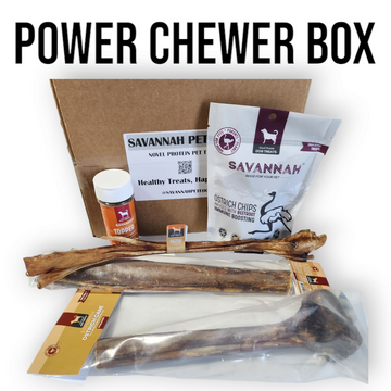 Power Chewer Trial Pack – Built for the Toughest Chewers!