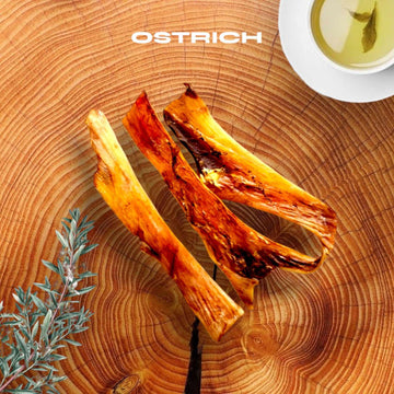 Chewy Ostrich Flat Tendon: Satisfying All-Natural Chew for Dental Health & Gentle Digestion