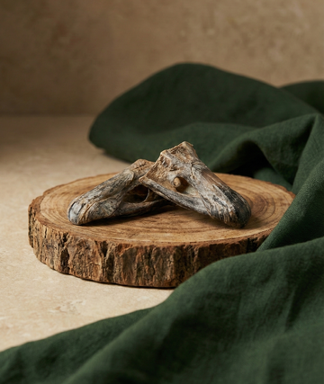 Crunchy Ostrich Beak: The Light & Airy, All-Natural Treat for Small to Medium Dogs - 2 Pack