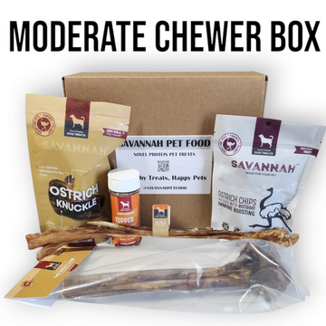 Moderate Chewer Trial Pack – For Dogs Who Love a Challenge!