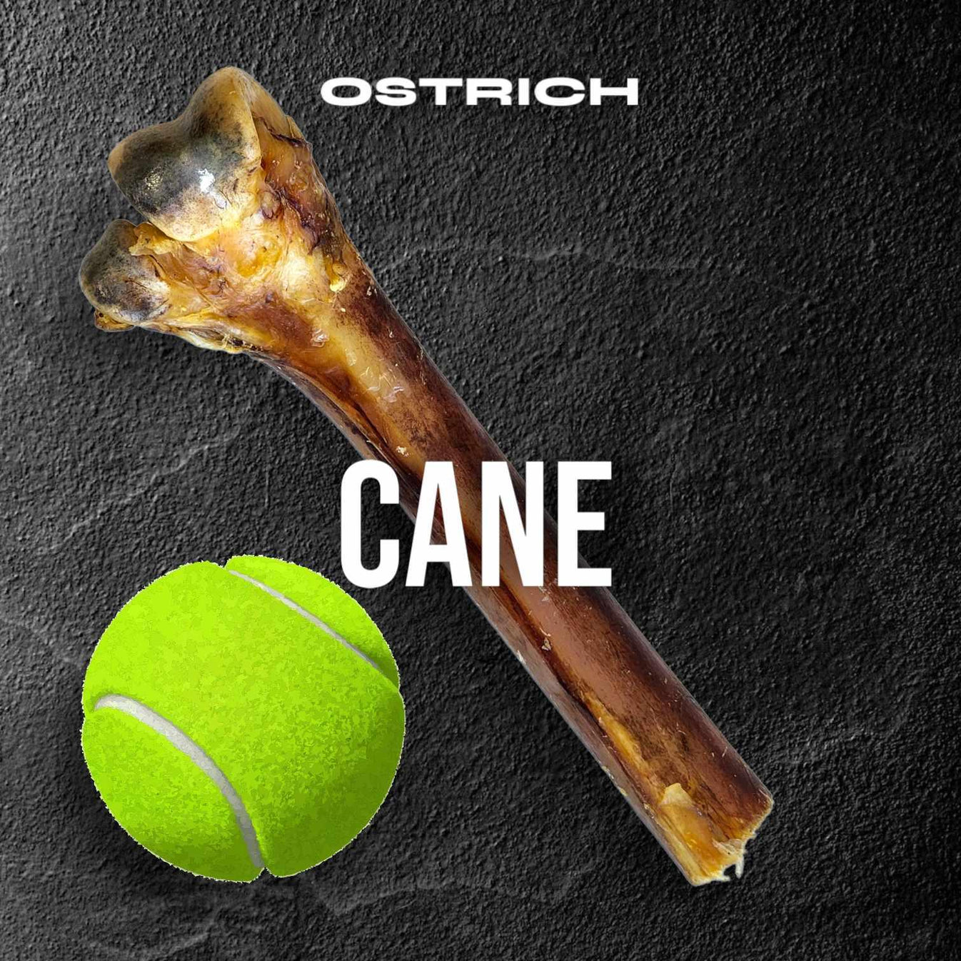 Splinter-Free Ostrich Cane (Medium) . Long-lasting, Natural Dog Gnaw T ...