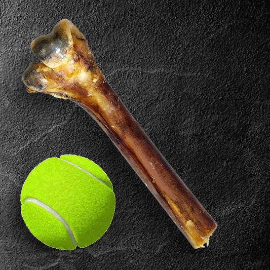 Medium Ostrich Cane (10" x 3"): The Long-Lasting, Flavor-Packed Chew for Medium & Large Dogs