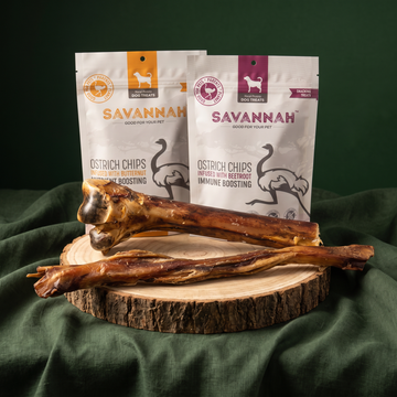 Welcome Pack Power Chewer: Medium Ostrich Cane, Long Tendon, Butternut and Beetroot Chips