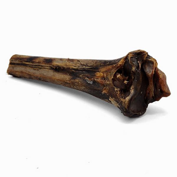 Splinter-Free Ostrich Cane (Large) . Long-lasting, Natural Dog Gnaw Tr ...