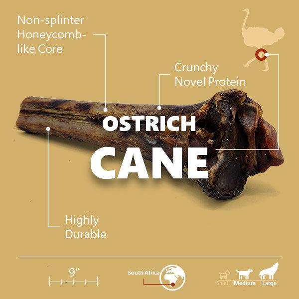 Splinter-Free Ostrich Cane (Large) . Long-lasting, Natural Dog Gnaw Tr ...