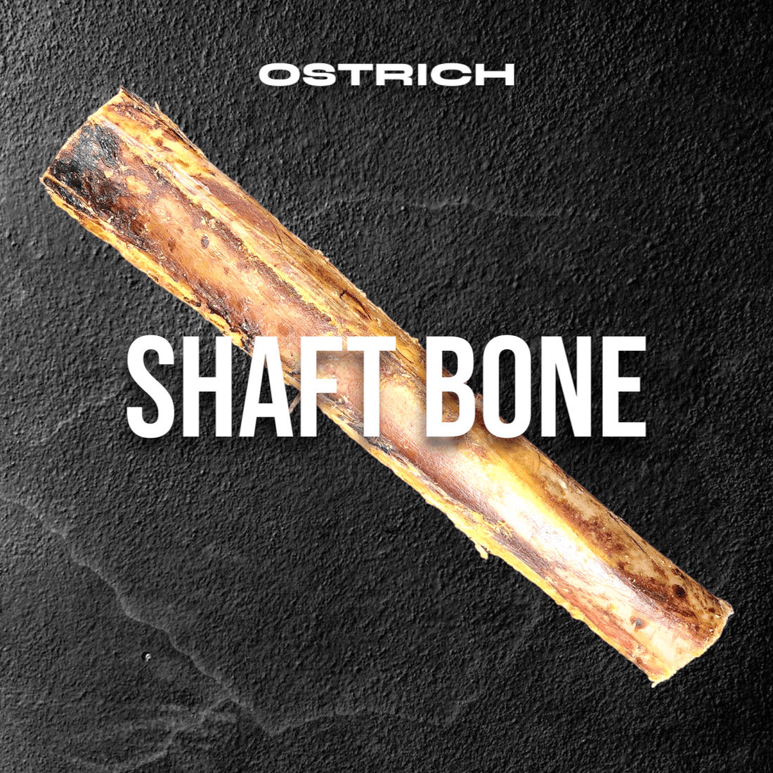 Ostrich shaft bone on textured black background.