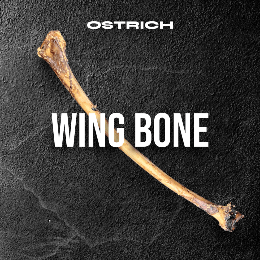 Ostrich wing bone displayed on a textured black surface.