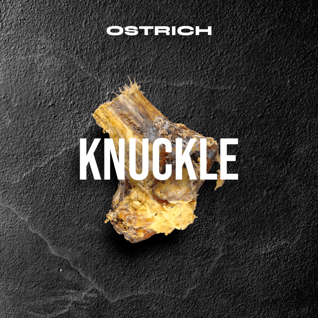 Image of an ostrich knuckle bone on a dark textured background.